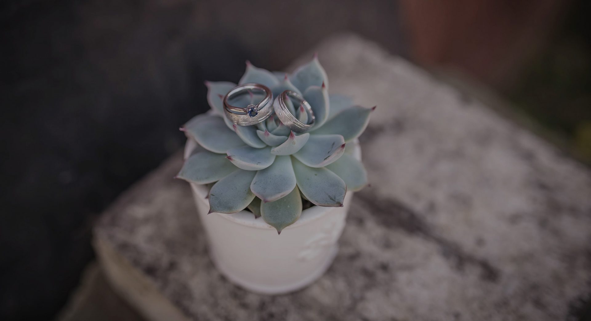 rings on a plant